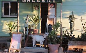 Corella Creek Country Farm Stay